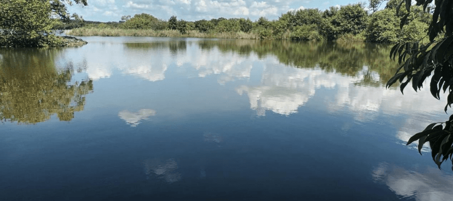 Traçado dos perfis avaliados (visão geral).